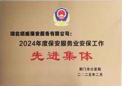 喜報(bào)！領(lǐng)威保安榮獲“2024年度保安服務(wù)業(yè)安保工
